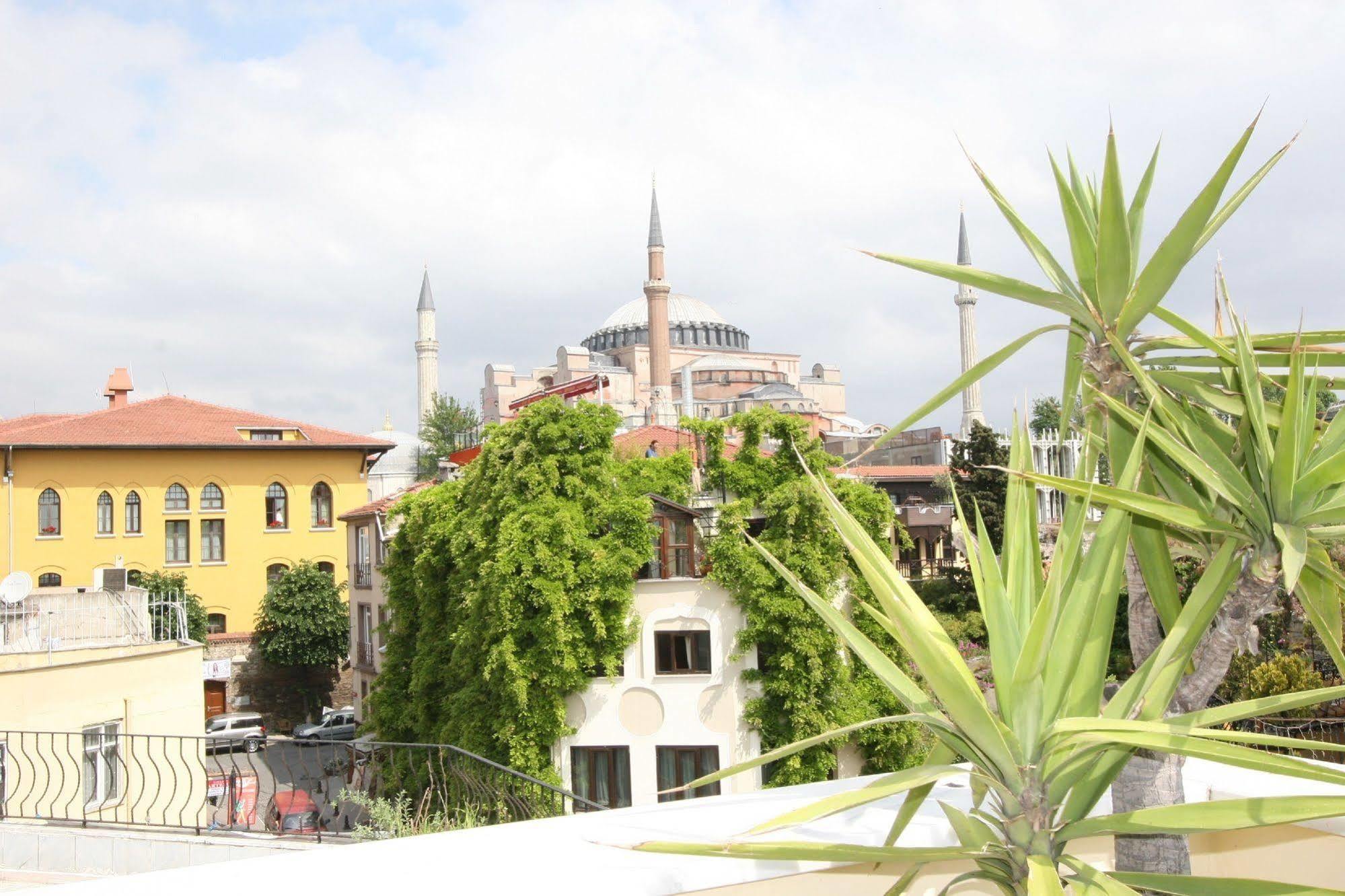 Hanedan 3* Provincia di Istanbul